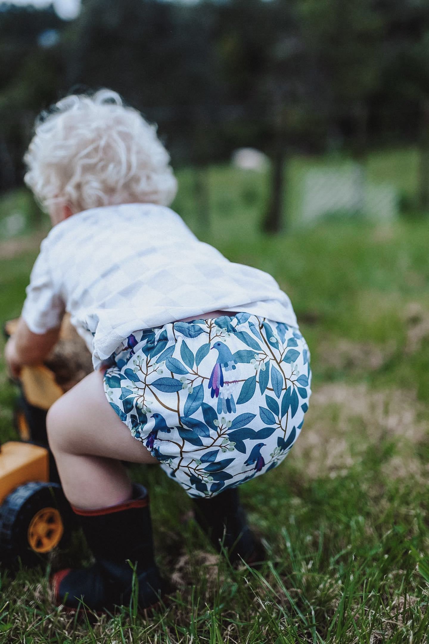 Sweet Pea Diapers: Night & Toddler Plus
